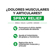 Cargar imagen en el visor de la galería, BOTIQUÍN NATURAL 360°