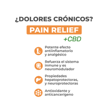 Cargar imagen en el visor de la galería, PAIN RELIEF + CBD
